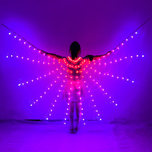 Women LED Isis Wings Remote Control Belly Dance Light Up Wings Butterfly Party Club Wear Flash Halloween Flexible Sticks