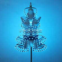 Load image into Gallery viewer, Full Color Digital LED Cage Clothing Suit Light Up Luminous Costumes Sexy Girl Tutu Ballet Dancing LED Hollowed-Out Dress
